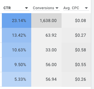 Google Ads performance table showing CTR, conversions, and average CPC.